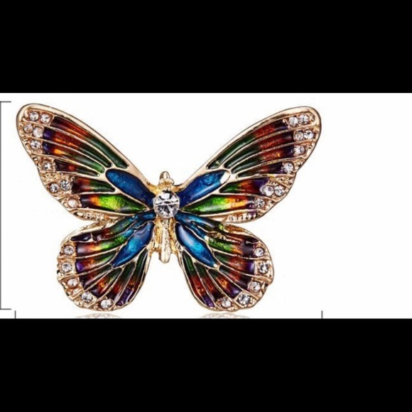 Colorful Butterfly Brooch Pin - Picture 3 of 3